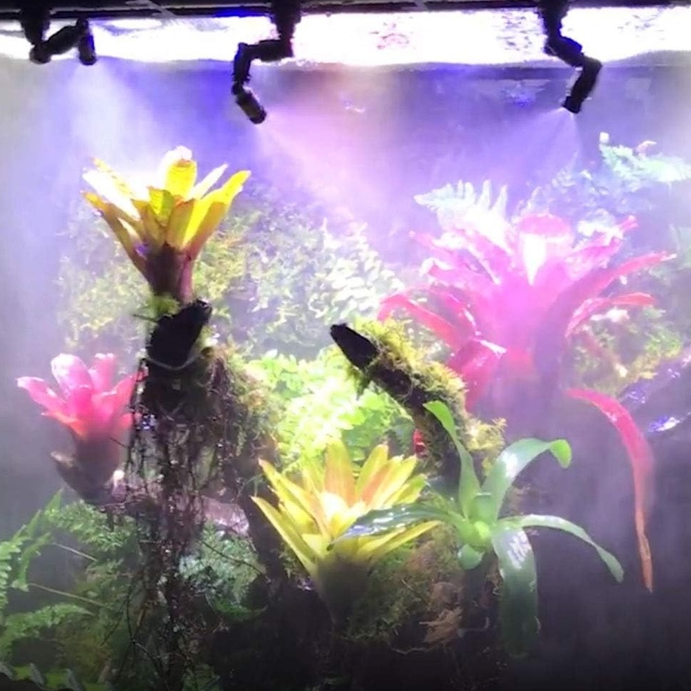 PP 파충류 포그머신 블랙 360 °   회전식 수족관 - Misting Nozzle Reptile 리뷰 및 가격