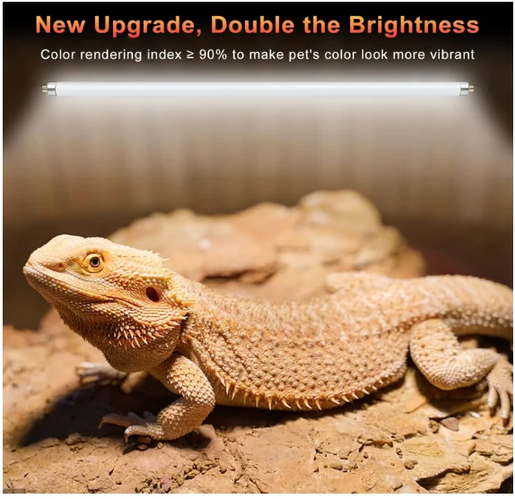2개입 8W T5 UVB 10.0 파충류용 형광등 튜브 - Vitamin D3 Reptile 리뷰 및 가격